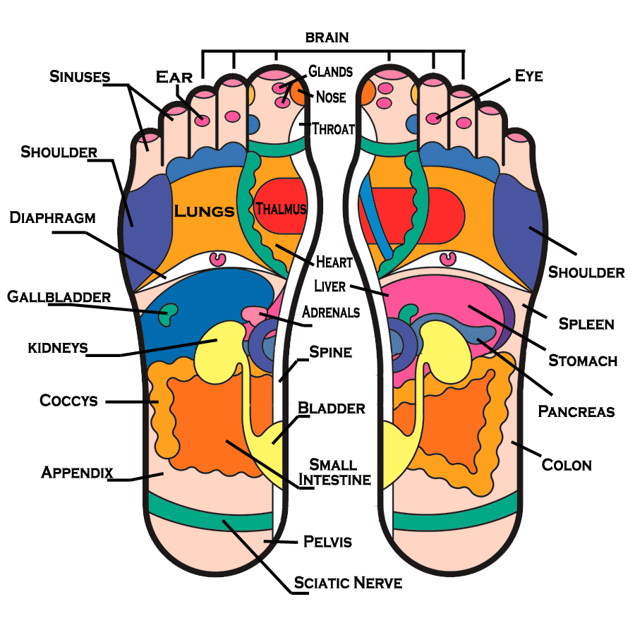 Foot Chart For Body